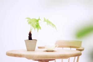 理想の家はキッチン周りも大事です