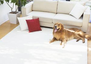 富山でエクステリアが得意な会社