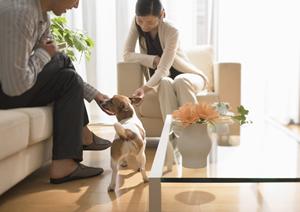 浴室ドアの交換作業をしてくれます