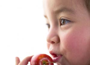 多摩市のリフォーム成功事例と選び方ガイド｜信頼できる工務店で理想の住まいを実現