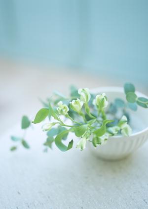 栃木の気候の中で快適に過ごせる省エネ住宅の魅力とは